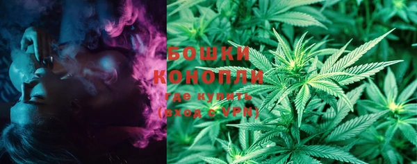индика Болхов