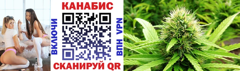 Бошки Шишки конопля  блэк спрут сайт  Туринск 